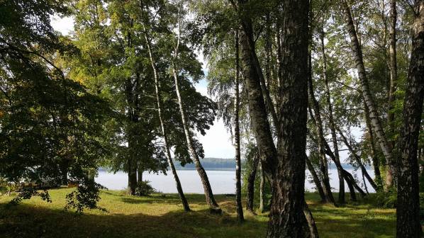 21533983_503512320014561_2026791386_o